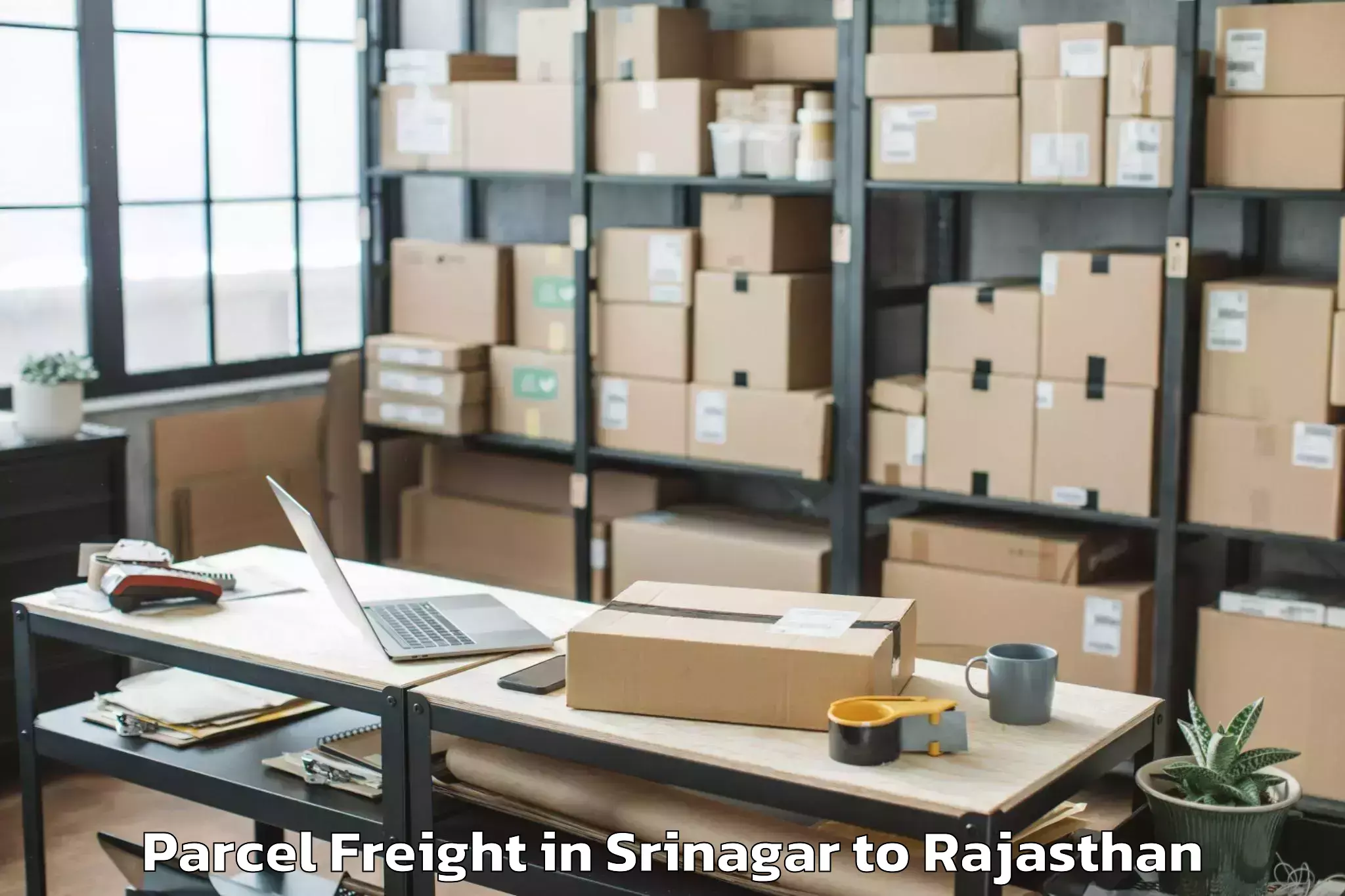 Hassle-Free Srinagar to Jaipur Parcel Freight